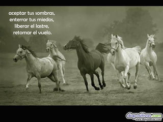 aceptar tus sombras,
enterrar tus miedos,
liberar el lastre,
retomar el vuelo.
 