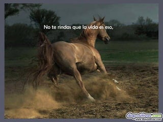 No te rindas que la vida es eso,
 