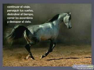 continuar el viaje,
perseguir tus sueños,
destrabar el tiempo,
correr los escombros
y destapar el cielo.
 