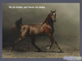 No te rindas, por favor no cedas,
 