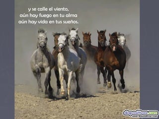 y se calle el viento,
aún hay fuego en tu alma
aún hay vida en tus sueños.
 