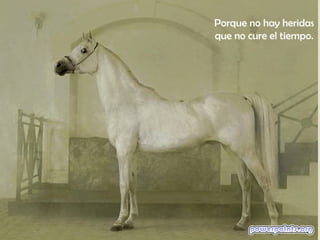 Porque no hay heridas
que no cure el tiempo.
 