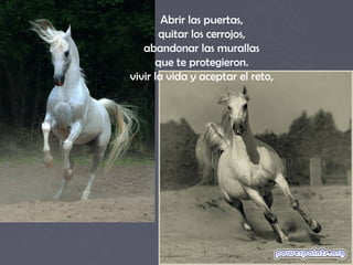 Abrir las puertas,
       quitar los cerrojos,
   abandonar las murallas
      que te protegieron.
vivir la vida y aceptar el reto,
 