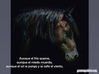 Aunque el frío queme,
      aunque el miedo muerda,
aunque el sol se ponga y se calle el viento,
 