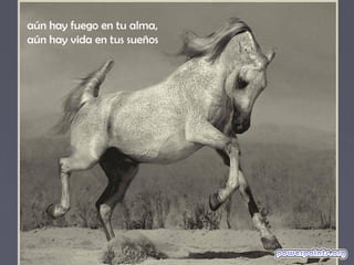 aún hay fuego en tu alma,
aún hay vida en tus sueños
 