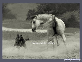 Porque yo te estimo.
 