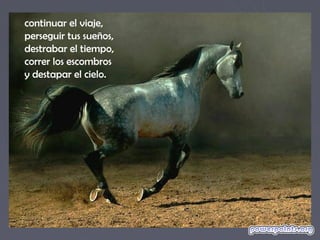 continuar el viaje,
perseguir tus sueños,
destrabar el tiempo,
correr los escombros
y destapar el cielo.
 