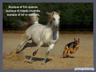 Aunque el frío queme,
aunque el miedo muerda,
aunque el sol se esconda,
 