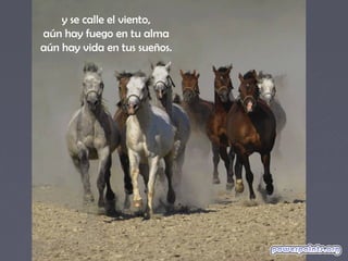 y se calle el viento,
aún hay fuego en tu alma
aún hay vida en tus sueños.
 