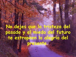 No dejes que la tristeza del pasado y el miedo del futuro te estropeen la alegría del presente. 