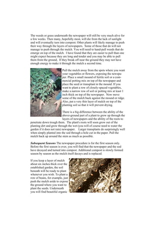 The weeds or grass underneath the newspaper will still be very much alive for
a few weeks. Then many, hopefully most, will die from the lack of sunlight
and will eventually turn into compost. Other plants will likely manage to push
their way through the layers of newspapers. Some of those that do will not
manage to push through the mulch. You will need to hand-pull weeds that do
emerge on top of the mulch. I have found that they are easier to pull than one
might expect because they are long and tender and you may be able to pull
them from the ground, If they break off near the ground they may not have
enough energy to make it through the mulch a second time.

                          Pull the mulch away from the spots where you want
                          your vegetables or flowers, exposing the newspa-
                          per. Place a small mound of fertile soil or a com-
                          mercial potting mix on top of the newspaper and
                          place the seed or transplant in the mound. If you
                          want to plant a row of closely-spaced vegetables,
                          make a narrow row of soil or potting mix at least 1
                          inch thick on top of the newspaper. Now move
                          some of the mulch back against the mound or ridge.
                          Also, put a very thin layer of mulch on top of the
                          planting soil so that it will prevent drying.

                            There is a big difference between the ability of the
                            above-ground part of a plant to grow up through the
                            layers of newspapers and the ability of the roots to
penetrate down trough them. The plant's roots will soon grow out of the
planting dirt and grow through the wet (you will of course need to water the
garden if it does not rain) newspaper. Larger transplants do surprisingly well
when simply planted into the sod through a hole cut in the paper. Pull the
mulch back up around the stem as much as possible.

Subsequent Seasons The newspaper procedure is for the first season only.
Before the first season is over, you will find that the newspaper and the sod
have decayed and turned into compost. Additional compost is slowly formed
season by season as the mulch itself decays and is replaced.

If you keep a layer of mulch
about six inches thick over the
established garden, the soil
beneath will be ready to plant
whenever you wish. To plant a
row of beans, for example, just
push the mulch aside to expose
the ground where you want to
plant the seeds. Underneath
you will find beautiful organic
 