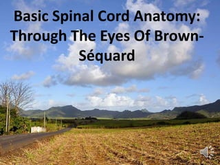 Basic Spinal Cord Anatomy:
Through The Eyes Of Brown-
Séquard
 