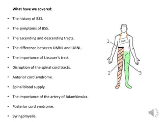• The history of BSS.
• The symptoms of BSS.
• The ascending and descending tracts.
• The difference between UMNL and LMNL...