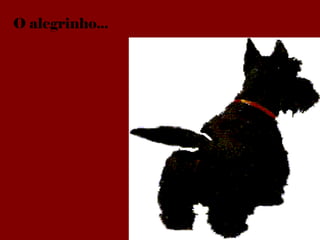 O alegrinho...
 