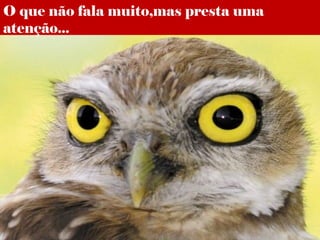O que não fala muito,mas presta uma
atenção...
 