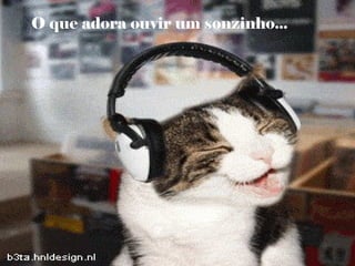 O que adora ouvir um sonzinho...
 