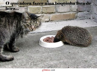 O que adora fazer uma boquinha fora de
hora...
 