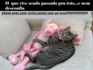 O que vive sendo passado pra trás...e nem
desconfia
 