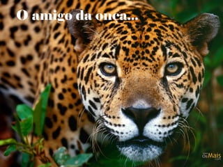 O amigo da onça...
 