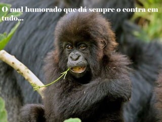 O mal humorado que dá sempre o contra em
tudo...
 