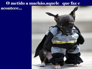 O metido a machão.aquele que faz e
acontece...
 