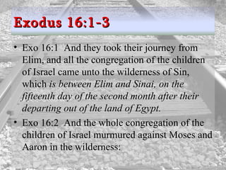 Exo 16:1  And they took their journey from Elim, and all the congregation of the children of Israel came unto the wilderness of Sin, which  is between Elim and Sinai, on the fifteenth day of the second month after their departing out of the land of Egypt.  Exo 16:2  And the whole congregation of the children of Israel murmured against Moses and Aaron in the wilderness:  Exodus 16:1-3 