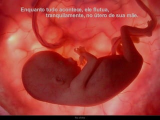 Enquanto tudo acontece, ele flutua,  tranquilamente, no útero de sua mãe. 