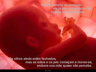 Na 16ª semana de gestação  ele já tem quase todos os órgãos desenvolvidos. Os olhos ainda estão fechados,  mas as mãos e os pés começam a mover-se,  embora sua mãe quase não perceba. 