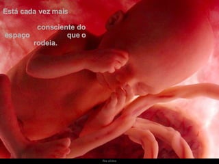 Está cada vez mais  consciente do espaço  que o rodeia. 