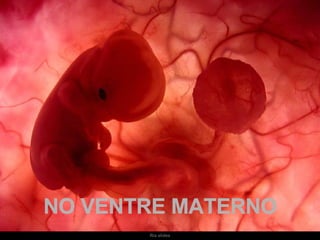 Um feto de poucas semanas encontra-se  no interior do útero de sua mãe. NO VENTRE MATERNO 