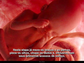 Nesta etapa já mexe os braços e as pernas,
pisca os olhos, chupa os dedos e, inclusive, tem
seus primeiros acessos de soluço.
Ria slides

 