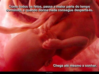 Como todos os fetos, passa a maior parte do tempo
dormindo, e quando dorme nada consegue despertá-lo.

Chega até mesmo a sonhar.
Ria slides

 