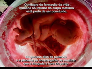 O milagre da formação da vida
humana no interior do corpo materno
está perto de ser concluído.

Em poucos dias os pulmões
e a placenta se encarregarão de sinalizar
que é chegada a hora do parto.
Ria slides

 