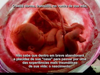 O bebê dorme, tranqüilo, no ventre de sua mãe.

Não sabe que dentro em breve abandonará
a placidez de sua “casa” para passar por uma
das experiências mais traumáticas
de sua vida: o nascimento.
Ria slides

 