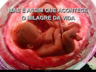 MAS É ASSIM QUE ACONTECE
O MILAGRE DA VIDA

Ria slides

 