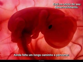 Está no início do seu
desenvolvimento.

Ainda falta um longo caminho a percorrer.
Ria slides

 