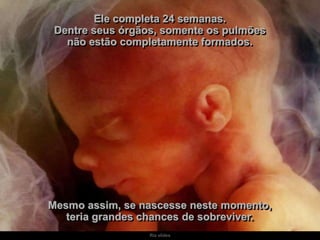 Ria slides
Ele completa 24 semanas.
Dentre seus órgãos, somente os pulmões
não estão completamente formados.
Mesmo assim, se nascesse neste momento,
teria grandes chances de sobreviver.
 