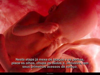 Ria slides
Nesta etapa já mexe os braços e as pernas,
pisca os olhos, chupa os dedos e, inclusive, tem
seus primeiros acessos de soluço.
 
