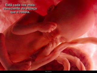 Ria slides
Está cada vez mais
consciente do espaço
que o rodeia.
 