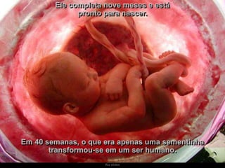 Ria slides
Ele completa nove meses e está
pronto para nascer.
Em 40 semanas, o que era apenas uma sementinha
transformou-se em um ser humano.
 