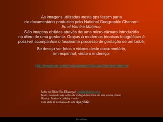 Ria slides
http://mujer.terra.es/muj/padres/embarazo/vientrematerno/
As imagens utilizadas neste pps fazem parte
do documentário produzido pelo National Geographic Channel:
En el Vientre Materno.
São imagens obtidas através de uma micro-câmara introduzida
no útero de uma gestante. Graças à modernas técnicas fotográficas é
possível acompanhar o fascinante processo de gestação de um bebê.
Se deseja ver fotos e vídeos deste documentário,
em espanhol, visite o endereço:
Autor do Slide: Ria Ellwanger riaellw@globo.com
Texto: baseado nas notas de rodapé das fotos do site acima citado
Música: Brahm’s Lullaby - violin
Este slide é exclusivo do site Ria Slides
 
