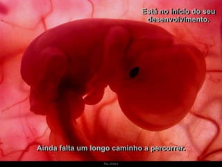 Ria slides
Está no início do seu
desenvolvimento.
Ainda falta um longo caminho a percorrer.
 