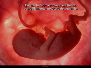 Ria slides
Enquanto tudo acontece, ele flutua,
tranqüilamente, no útero de sua mãe.
 