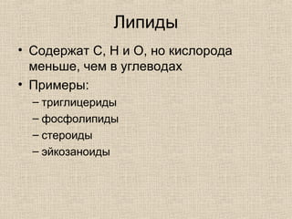 Липиды
• Содержат C, H и O, но кислорода
меньше, чем в углеводах
• Примеры:
– триглицериды
– фосфолипиды
– стероиды
– эйкозаноиды
 