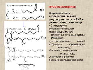 Арахидоновая кислота
ПРОСТАГЛАНДИНЫ:
Широкий спектр
воздействий, так как
регулируют синтез сAMP в
разных тканях, например:
- Стимулируют
сокращение гладкой
мускулатуры матки;
- Влияют на суточные ритмы;
- Изменяют
чувствительность тканей
к гормонам (адреналину и
глюкагону)
-Вызывают повышение
температуры,
участвуют в развити
реакции воспаления и боли
Prostaglandin E1 (PGE1)Простагландин Е1
Простагландин F1α
 