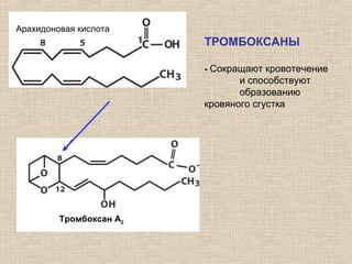 Арахидоновая кислота ТРОМБОКСАНЫ
- Сокращают кровотечение
и способствуют
образованию
кровяного сгустка
Арахидоновая кислота
Тромбоксан А2
 