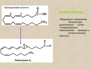 Арахидоновая кислота
ЛЕЙКОТРИЕНЫ
-Индуцируют сокращение
мускулатуры
дыхательных путей;
-Гиперпродукция
лейкотриенов приводит к
астматическому
приступу
Лейкотриен А4
 