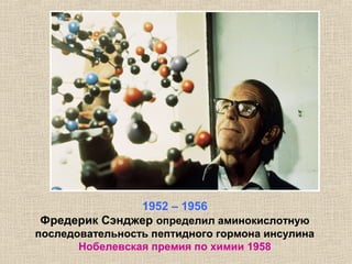 1952 – 1956
Фредерик Сэнджер определил аминокислотную
последовательность пептидного гормона инсулина
Нобелевская премия по химии 1958
 