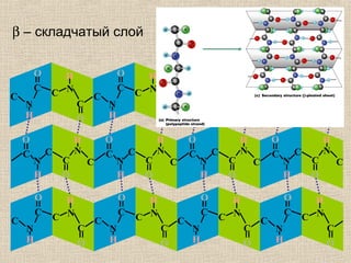β – складчатый слой
N
H
C
O
C
H
C
C
N
O
N
H
C
O
C
H
C
C
N
O
N
H
C
O
C
H
C
C
N
O
N
H
C
O
C
H
C
C
N
O
N
H
C
O
C
H
C
C
N
O
N
H
C
O
C
H
C
C
N
O
N
H
C
O
C
H
C
C
N
O
N
H
C
O
C
H
C
C
N
O
N
H
C
O
C
H
CC
N
O
N
H
C
O
C
H
CC
N
O
N
H
C
O
C
H
CC
N
O
N
H
C
O
C
H
CC
N
O
 