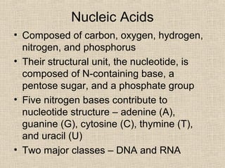 Nucleic Acids
• Composed of carbon, oxygen, hydrogen,
nitrogen, and phosphorus
• Their structural unit, the nucleotide, is
composed of N-containing base, a
pentose sugar, and a phosphate group
• Five nitrogen bases contribute to
nucleotide structure – adenine (A),
guanine (G), cytosine (C), thymine (T),
and uracil (U)
• Two major classes – DNA and RNA
 